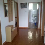 Pavica Prázdninový dům *