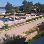 Pavica * Vrsi