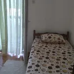Pavica Vrsi