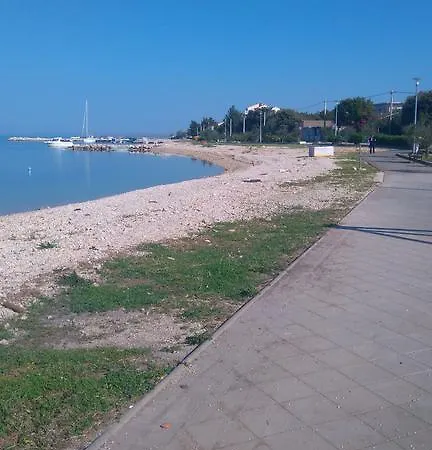 Tatil Evi Pavica