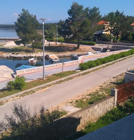 Pavica * Vrsi