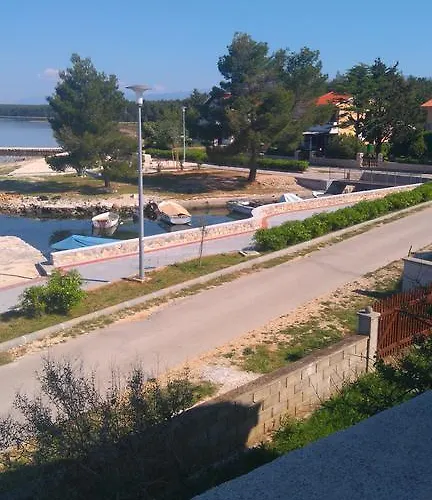 Pavica * Vrsi